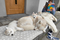 Rudi, Pika, Bolt, Smaili
